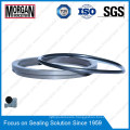 Ad Type Wear Resistance Hydraulic Cylinder Rubber/PTFE Scraper Seal Ring